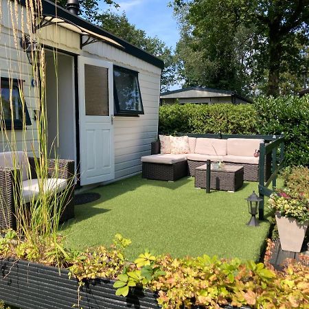 Willa Charmant Chalet Op Een Bospark Op De Veluwe Putten Zewnętrze zdjęcie
