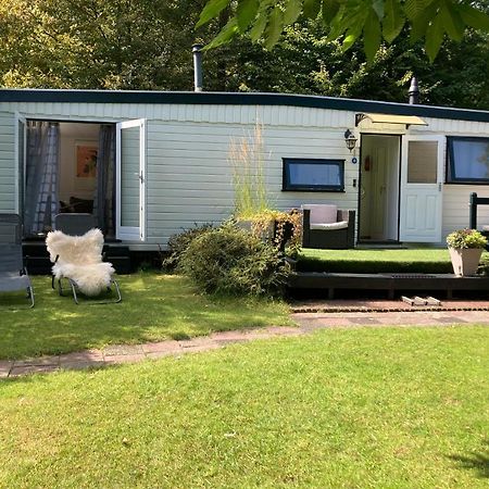 Willa Charmant Chalet Op Een Bospark Op De Veluwe Putten Zewnętrze zdjęcie