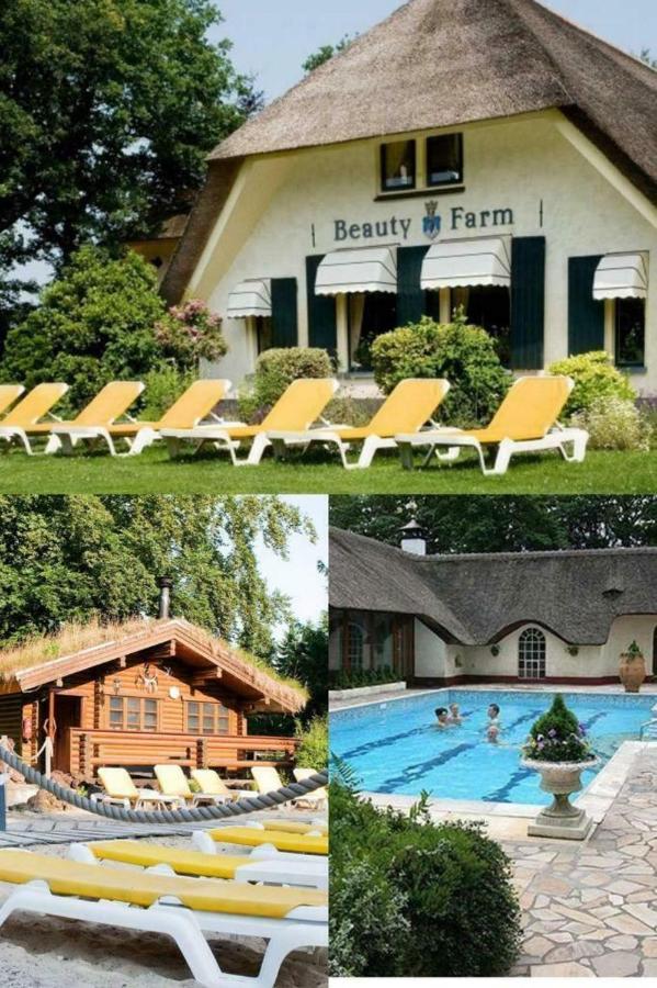 Willa Charmant Chalet Op Een Bospark Op De Veluwe Putten Zewnętrze zdjęcie