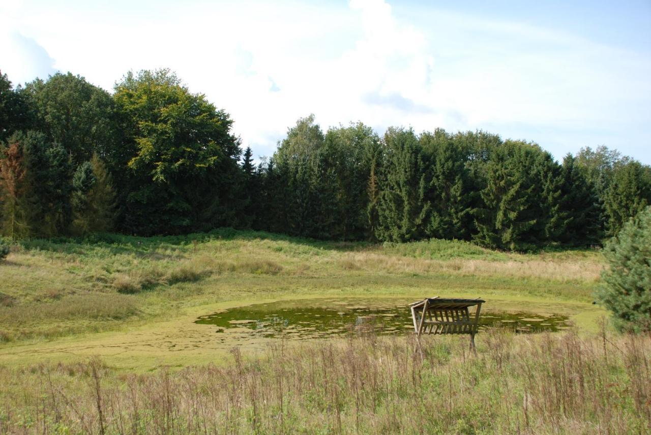 Willa Charmant Chalet Op Een Bospark Op De Veluwe Putten Zewnętrze zdjęcie