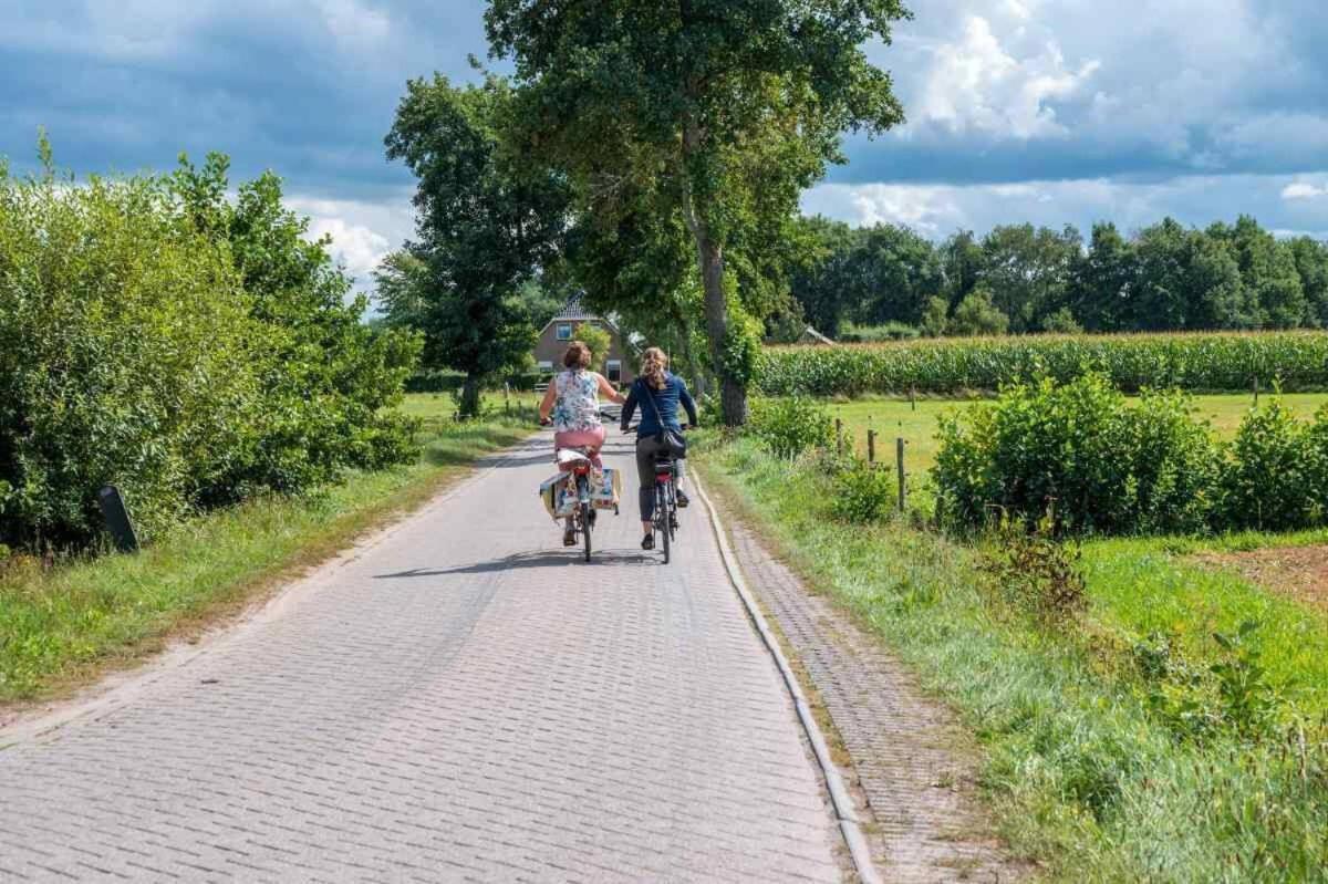 Willa Charmant Chalet Op Een Bospark Op De Veluwe Putten Zewnętrze zdjęcie