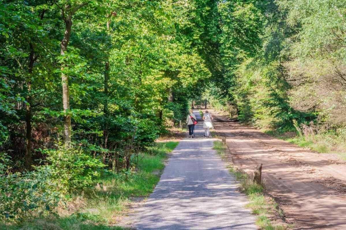 Willa Charmant Chalet Op Een Bospark Op De Veluwe Putten Zewnętrze zdjęcie